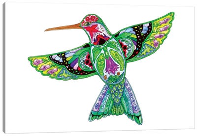 Hummingbird Canvas Art Print - Sue Coccia
