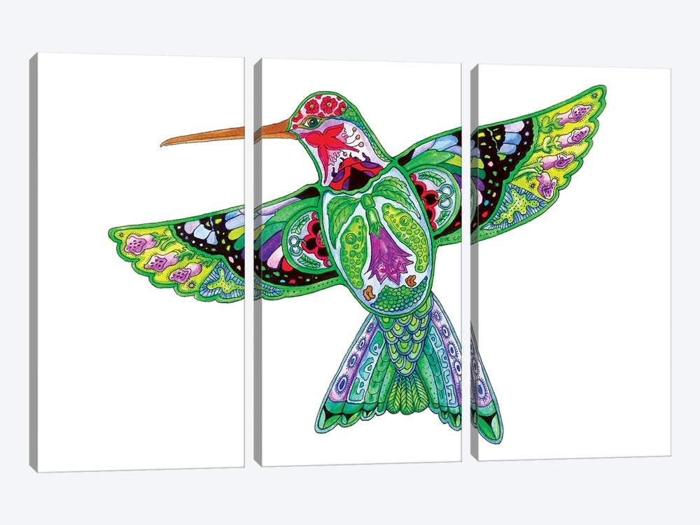 Hummingbird by Sue Coccia 3-piece Canvas Artwork