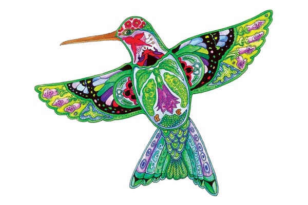 Ladybugs: Hummingbird by Sue Coccia