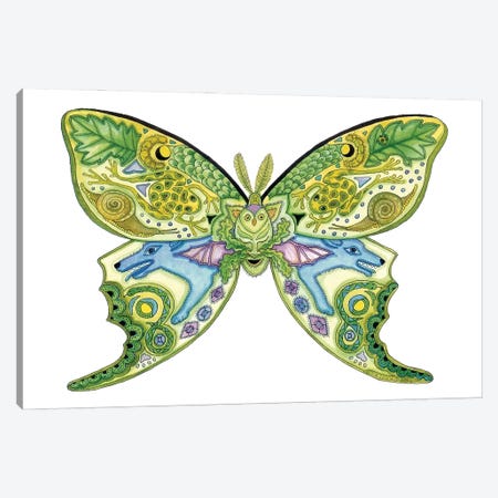 Luna Moth Canvas Print #SUC48} by Sue Coccia Canvas Print