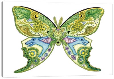 Luna Moth Canvas Art Print - Ladybug Art