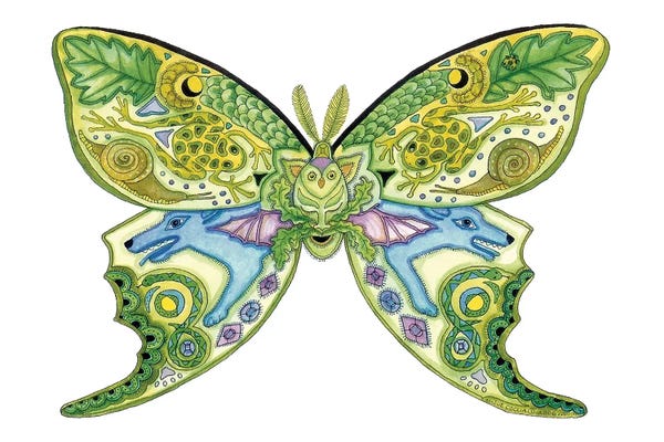 Ladybugs: Luna Moth by Sue Coccia