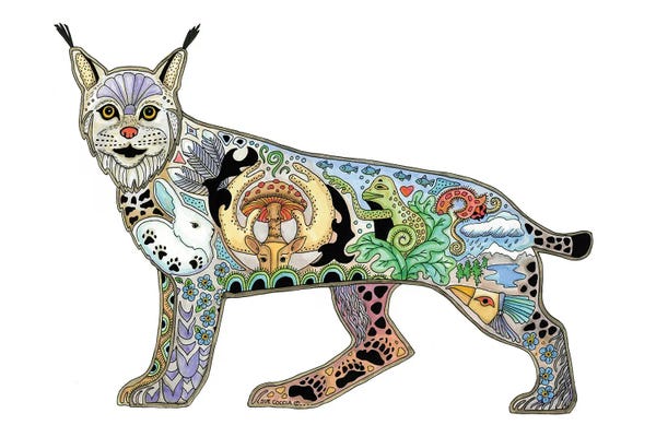 Lynx: Lynx by Sue Coccia