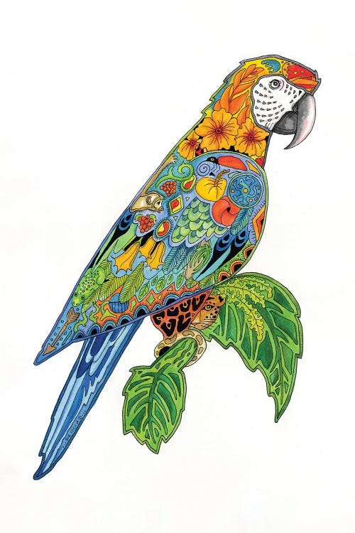 Macaw