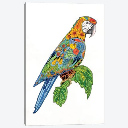 Macaw Canvas Print #SUC51} by Sue Coccia Canvas Wall Art