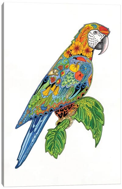 Macaw Canvas Art Print - Ladybug Art