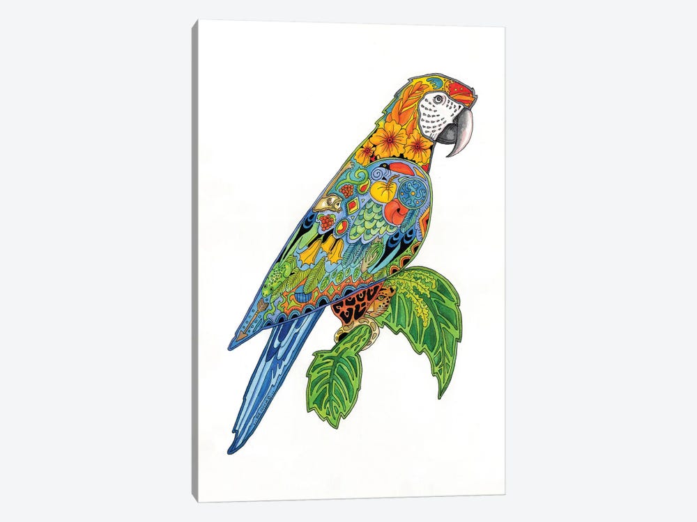 Macaw by Sue Coccia 1-piece Canvas Artwork