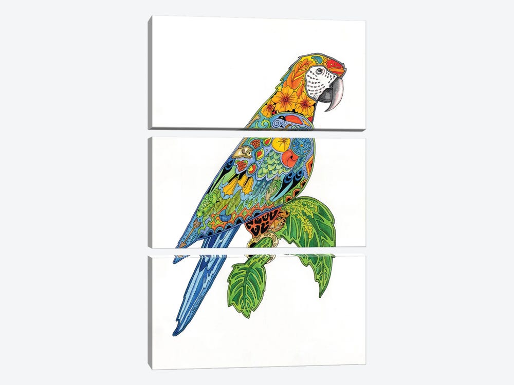 Macaw by Sue Coccia 3-piece Canvas Art