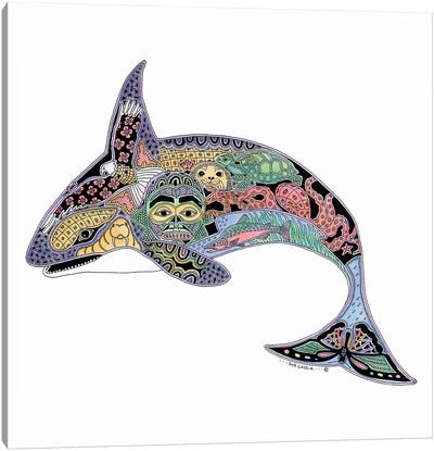 Orca Canvas Art Print - Sue Coccia