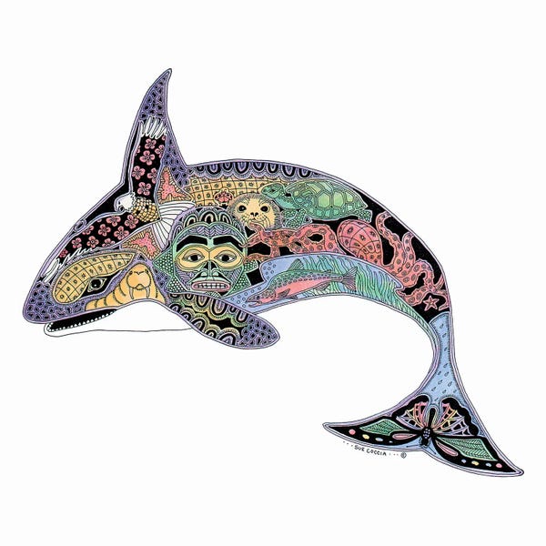 Ladybugs: Orca by Sue Coccia