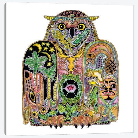 Owl Canvas Print #SUC61} by Sue Coccia Canvas Print