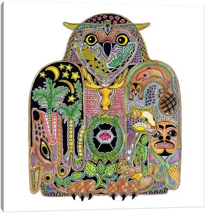 Owl Canvas Art Print - Ladybug Art