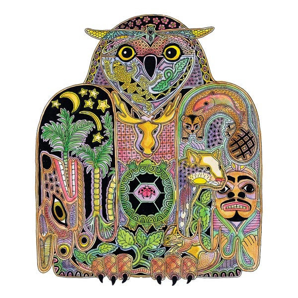 Ladybugs: Owl by Sue Coccia