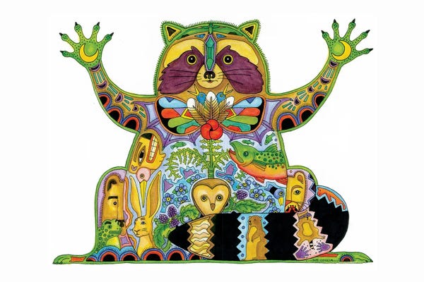 Raccoons: Raccoon by Sue Coccia