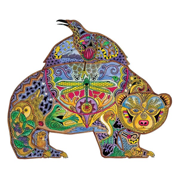 Ladybugs: Raven Bear by Sue Coccia