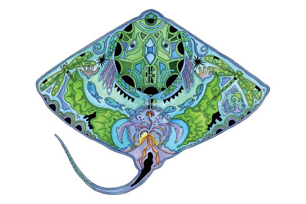 Rays: Ray by Sue Coccia