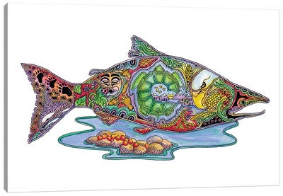 Salmon Canvas Art Print - Sue Coccia