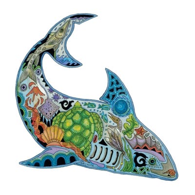 Shark by Sue Coccia canvas print