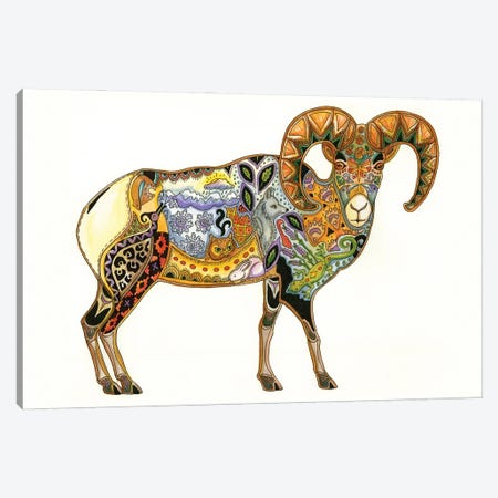 Big Horn Sheep Canvas Print #SUC7} by Sue Coccia Canvas Art Print