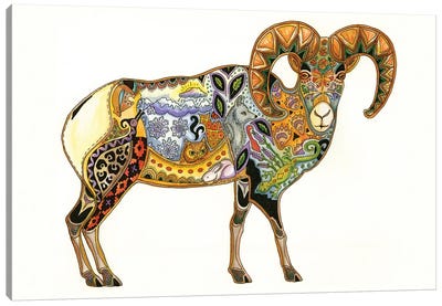 Big Horn Sheep Canvas Art Print - Sue Coccia