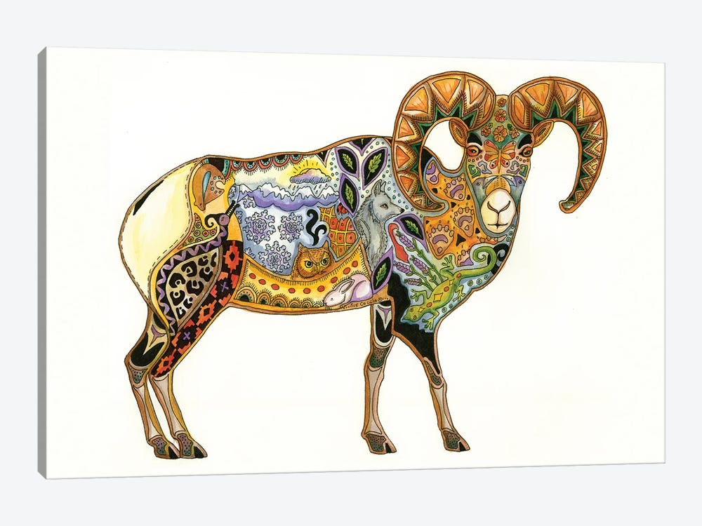 Big Horn Sheep by Sue Coccia 1-piece Canvas Artwork