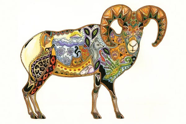 Sue Coccia