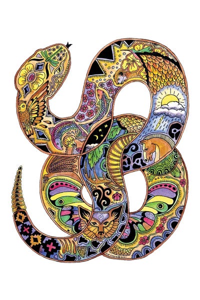 Snakes: Snake by Sue Coccia