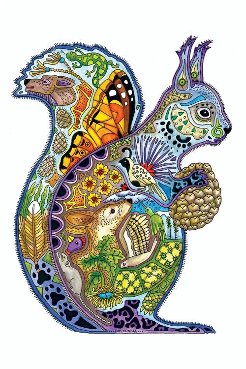 Squirrel
