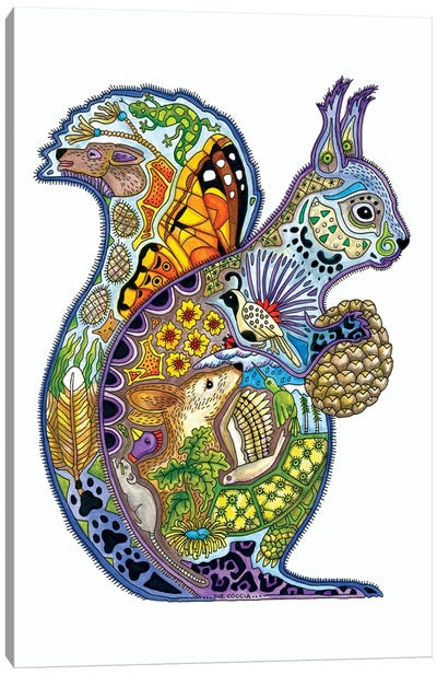 Squirrel Canvas Art Print - Sue Coccia