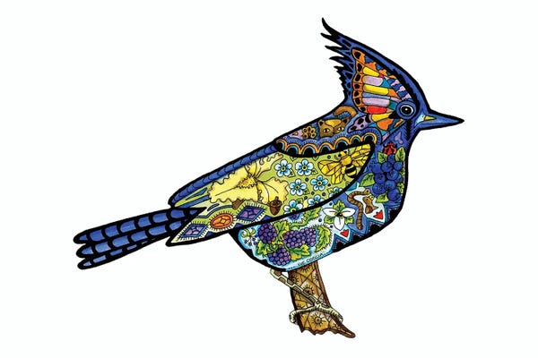 Ladybugs: Steller's Jay by Sue Coccia