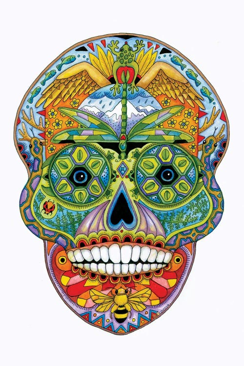 Sugar Skull by Sue Coccia wall art