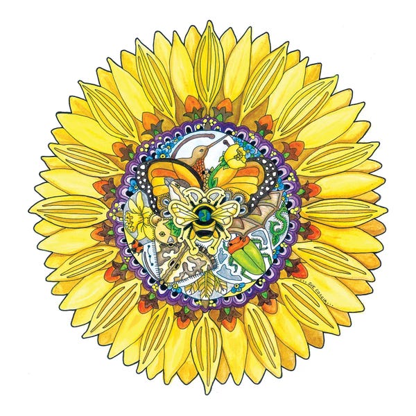 Fine Art Print: Sunflower by Sue Coccia