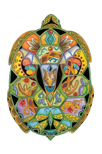 Ladybugs: Tortoise by Sue Coccia