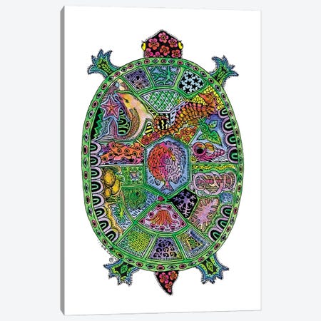 Turtle Canvas Print #SUC90} by Sue Coccia Canvas Art