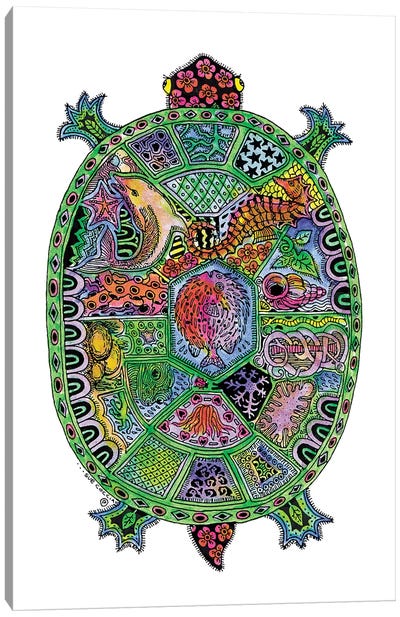 Turtle Canvas Art Print - Sue Coccia