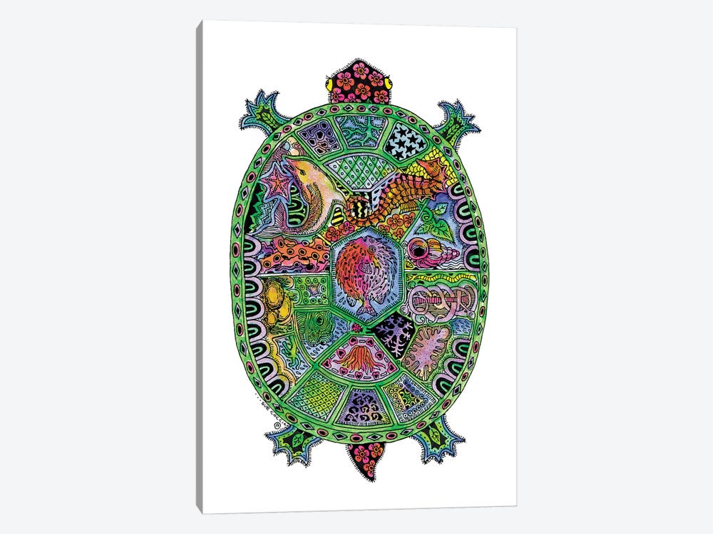 Turtle by Sue Coccia 1-piece Canvas Art Print