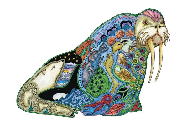 Walruses