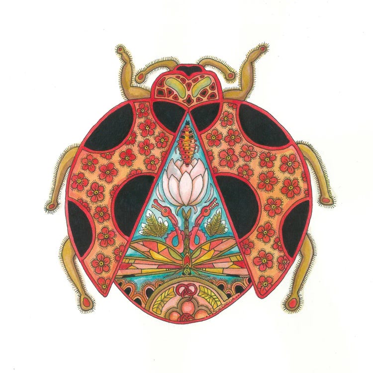 Ladybug