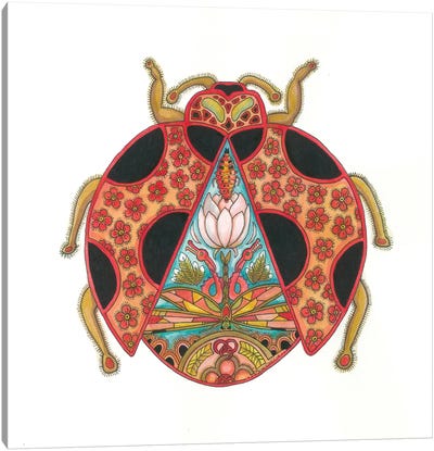Ladybug Canvas Art Print - Sue Coccia