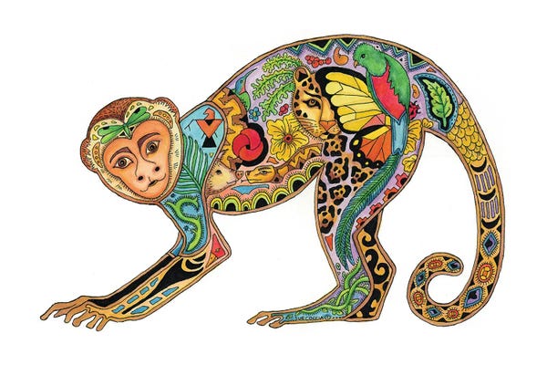 Primates: Monkey by Sue Coccia