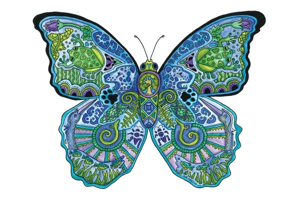 Ladybugs: Blue Morpho by Sue Coccia