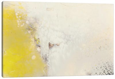 Yellow Lux I Canvas Art Print - Sue Jachimiec