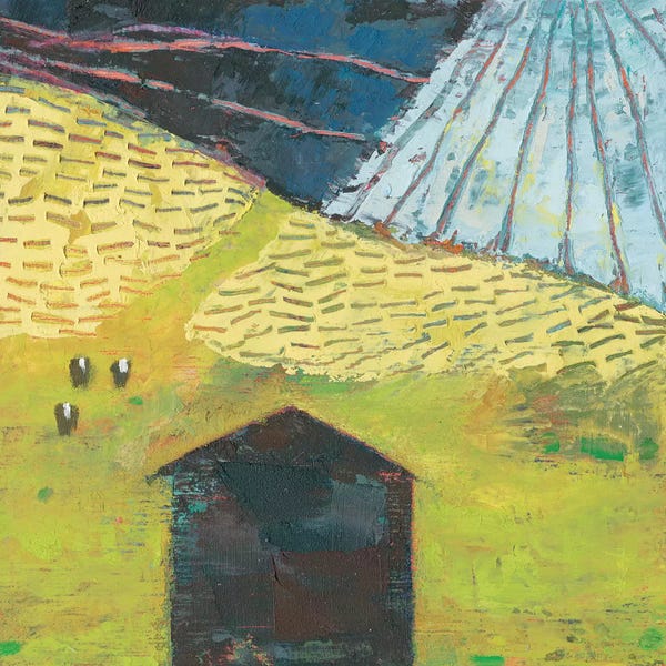 Barns: Bear Valley Barn II by Sue Jachimiec