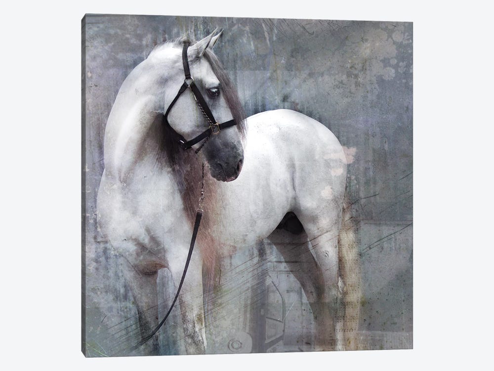 Horse Exposures II 1-piece Canvas Art Print