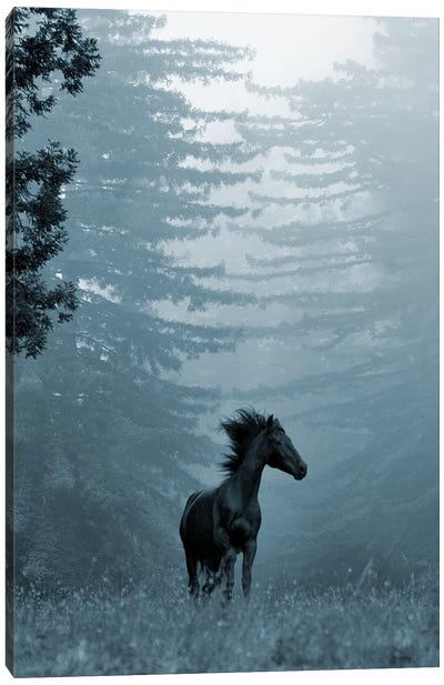 Horse in the Trees I Canvas Art Print