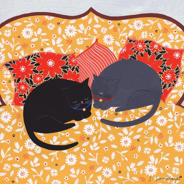 Sleeping & Napping: Cats Sleeping by Sian Summerhayes