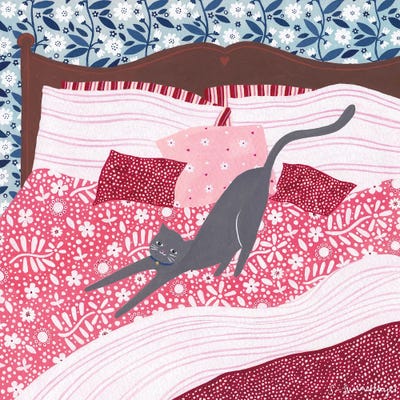 Cosy Cat by Sian Summerhayes canvas print