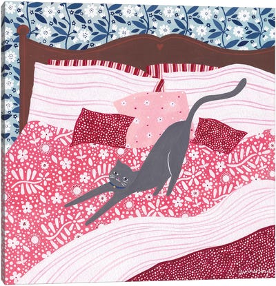 Cosy Cat Canvas Art Print - Sian Summerhayes