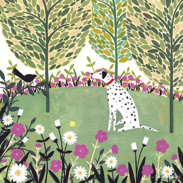 Dalmatians: Dalmatian And Ball by Sian Summerhayes