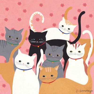 Hello Cats by Sian Summerhayes canvas print